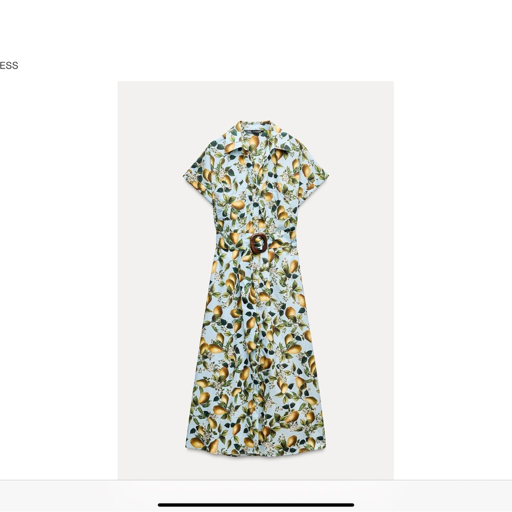 Zara Lemon Print Midi Dress with Belt